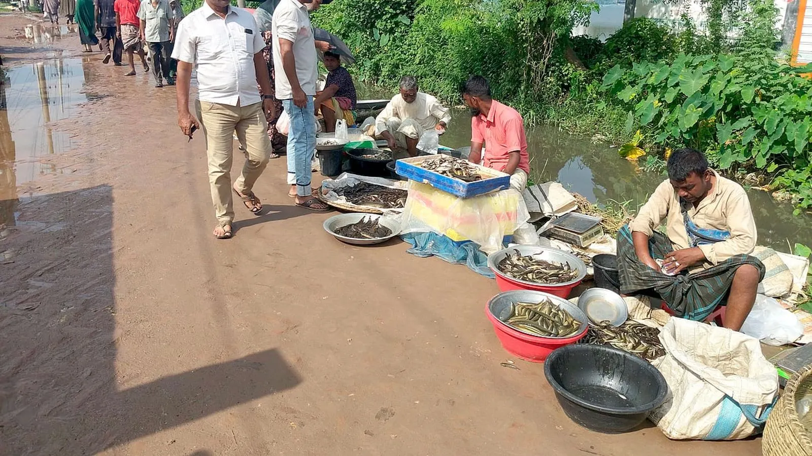 Fresh River and Beel Fish Abundant at Pabna's Masum Bazar