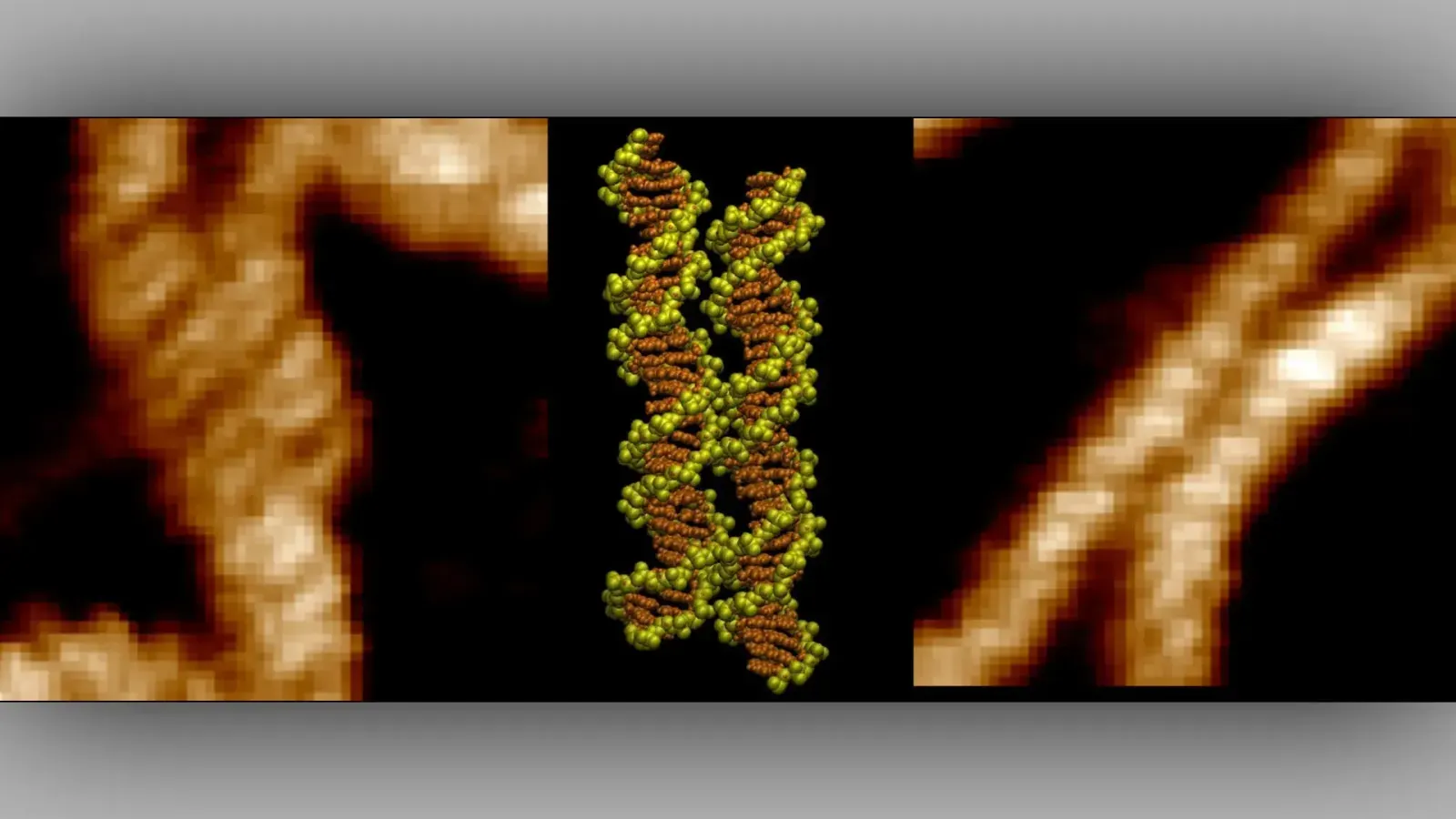 Researchers Capture Detailed Views of DNA Molecules Aligning and Recognizing Sequences
