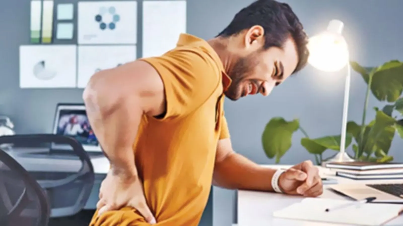Understanding and Preventing Lower Back Pain Through Posture and Exercise