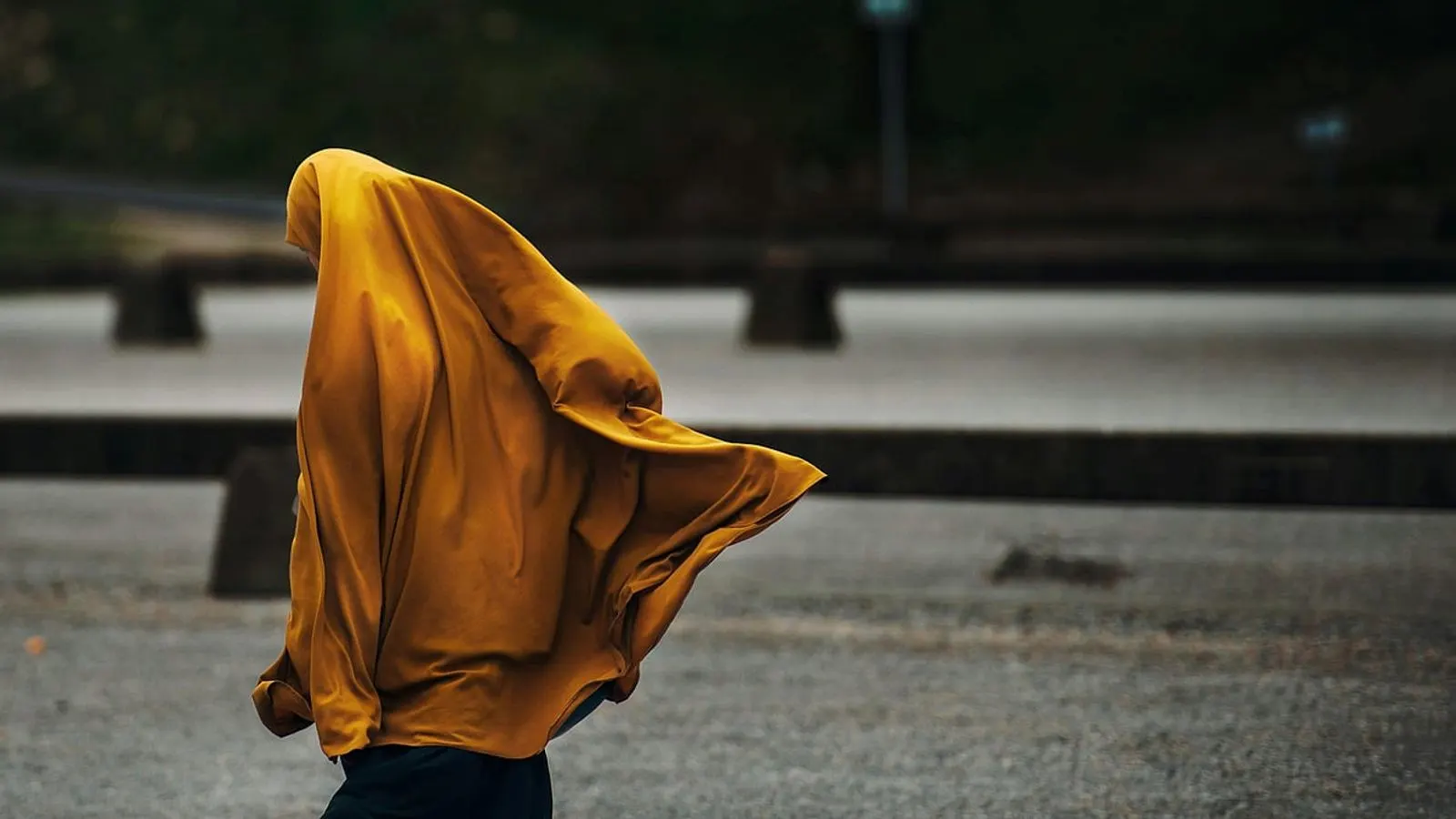 Navigating Parental Financial Deceit: Islamic Guidance and Legal Limits