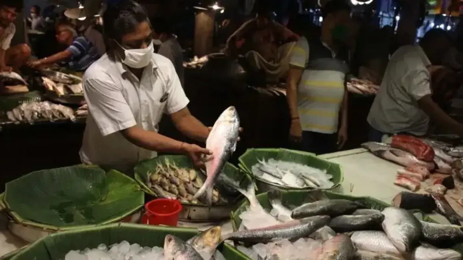 India Exports Nearly 500 Tonnes of Hilsa to Bangladesh via Petrapole