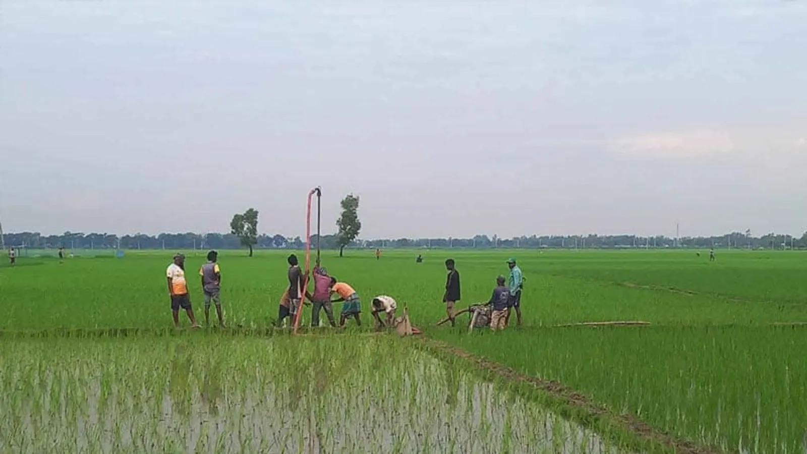 Bapex Begins 3D Seismic Survey in Habiganj for New Gas Field