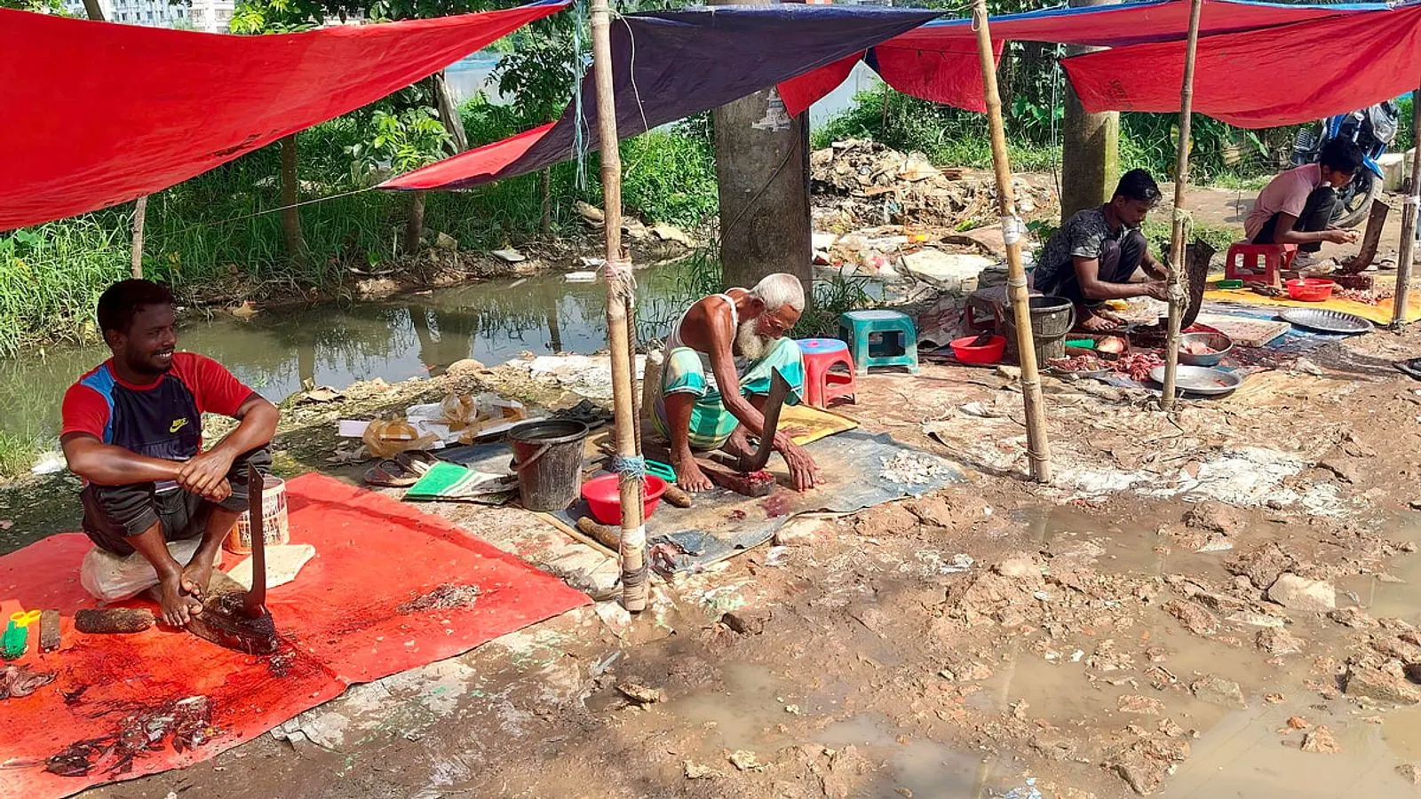 90-Year-Old Bangladeshi Man Struggles to Survive Cutting Fish