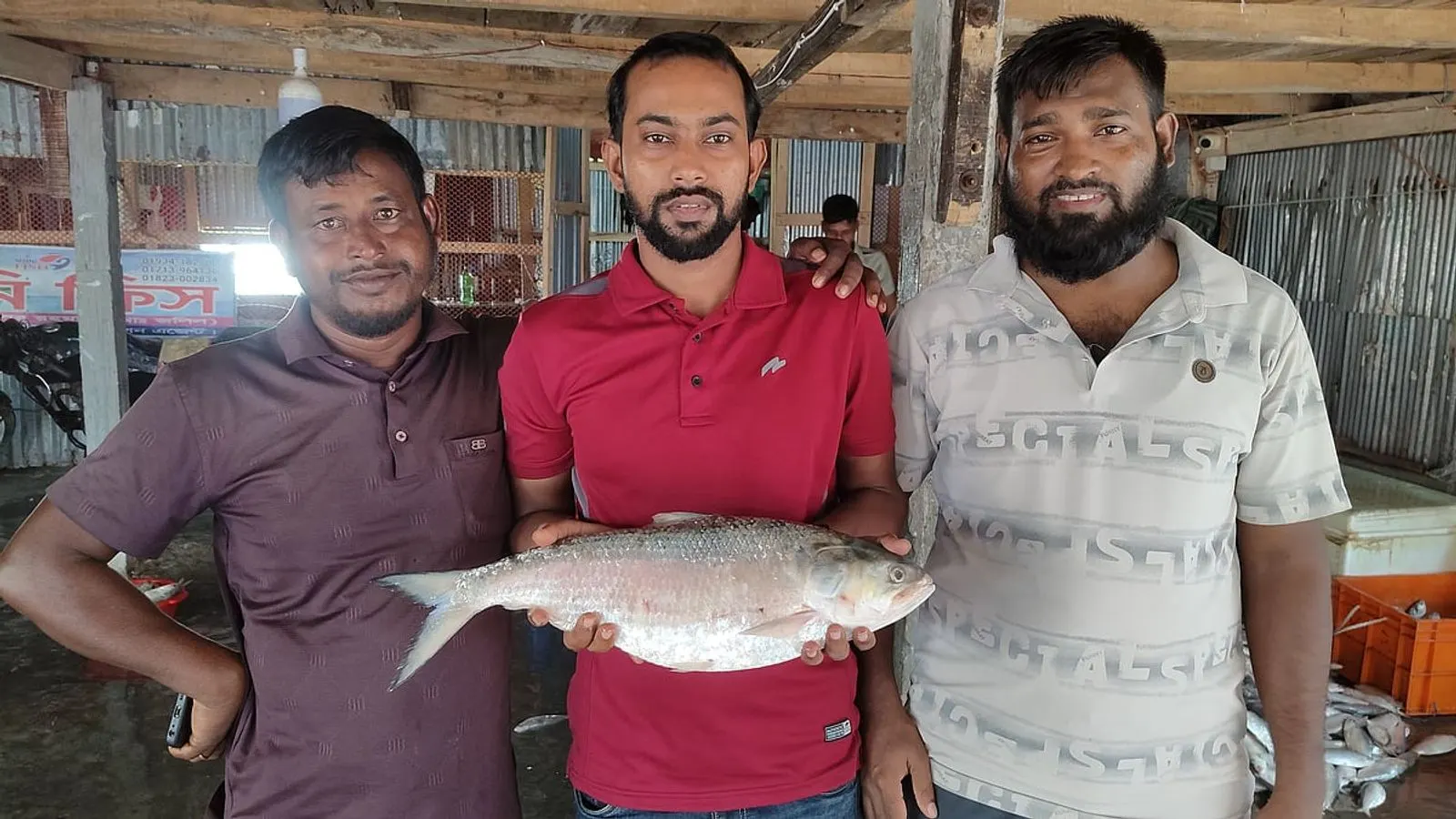 কুয়াকাটায় জেলের জালে ২ কেজি ১০০ গ্রামের ইলিশ, বিক্রি ৭২০০ টাকায়