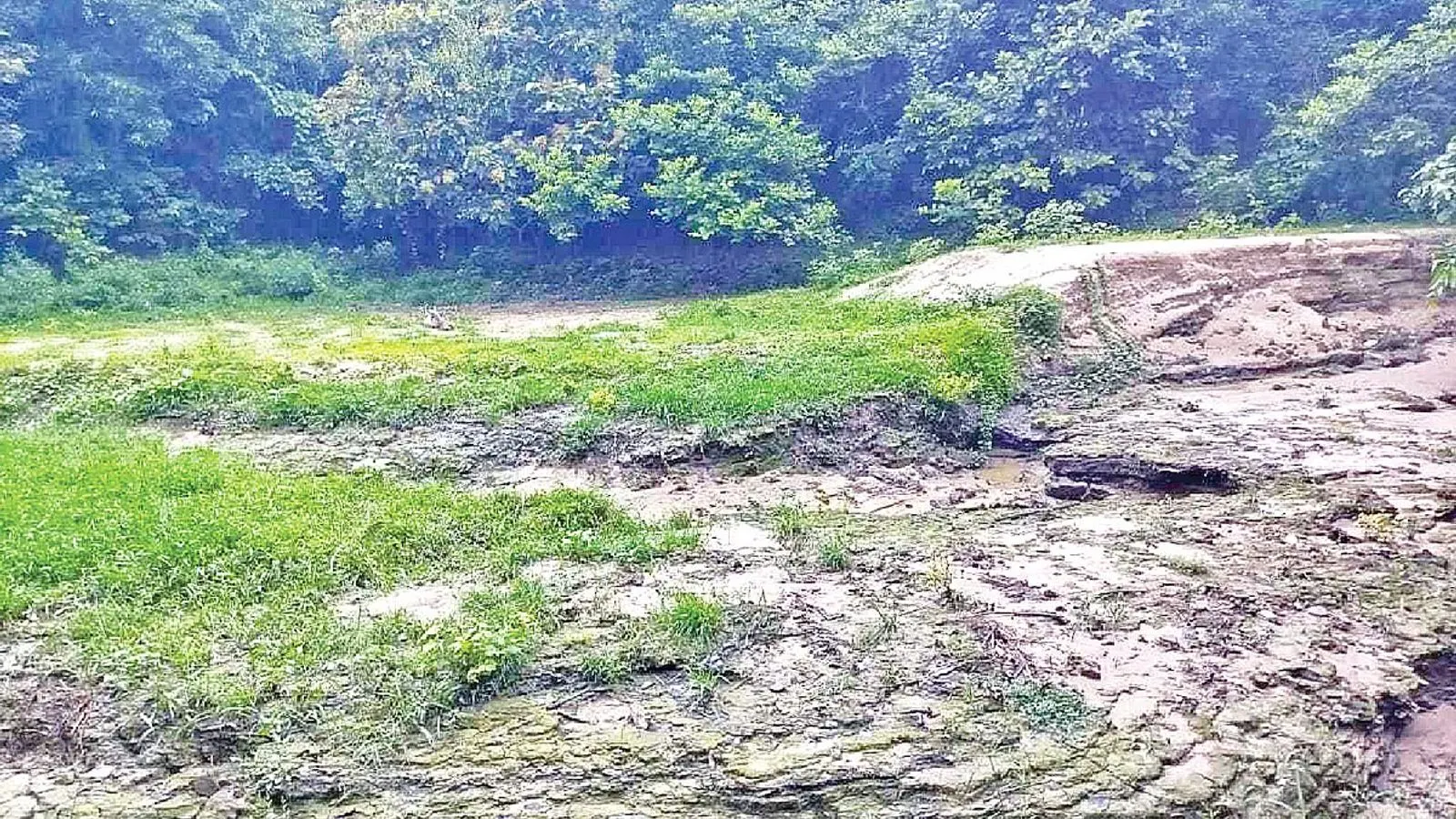 Water crisis and filled reservoirs threaten Bangladesh's Raghunandan hill forest
